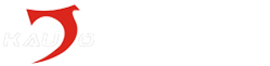 厦门凯奥特自动化系统有限公司